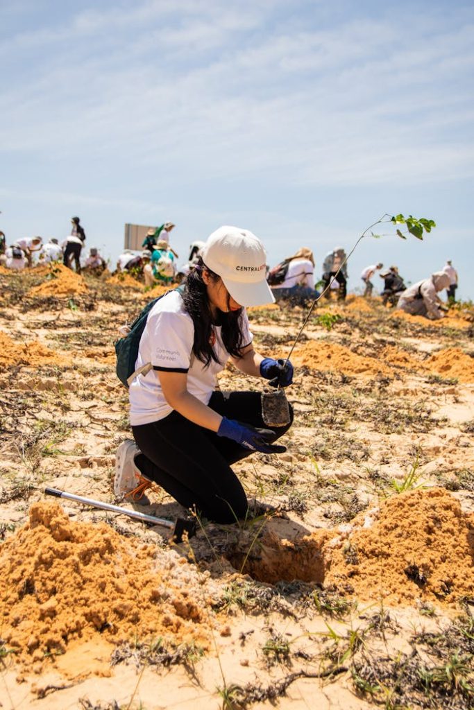 Volunteers Planting Trees in Phan Thiết, Vietnam